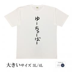 おもしろtシャツ 大きいサイズ 和柄 元祖豊天商店 不満を笑い飛ばす自ギャグシリーズ！！ ゆーちゅーばー 半袖
