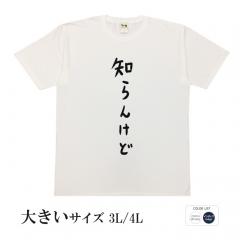 おもしろtシャツ 大きいサイズ 和柄 元祖豊天商店 不満を笑い飛ばす自ギャグシリーズ！！ 知らんけど半袖