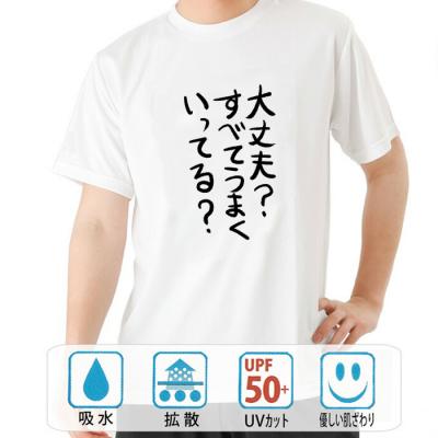 おもしろtシャツ ドライ 和柄 元祖豊天商店 不満を笑い飛ばす自ギャグシリーズ！！ うまくいってる？ 半袖